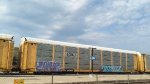 CSX B5462 (Body) TTGX 963606 (Flat)